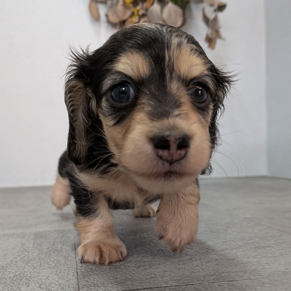 dfa1b13c-ad88-449c-badf-ee9beff23298