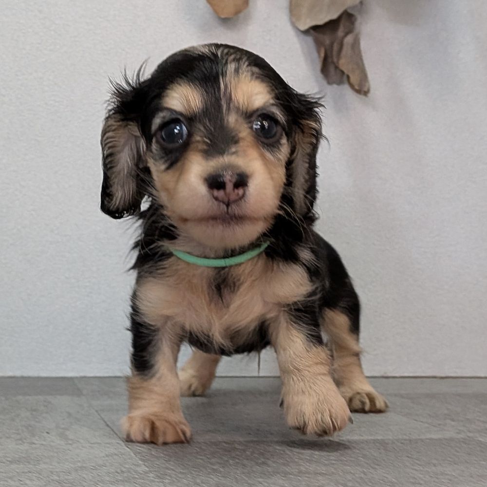 dfa1b13c-ad88-449c-badf-ee9beff23298